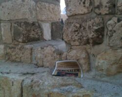 The Last Shofar on the Wall of the Old City of Jerusalem